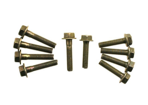 Bolts - M6-1.00 Bolts - Set of 10 for WOLF RX50 > Part #175GRS50